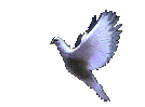 dove2.gif (38843 bytes)